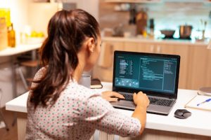 desarrollo de software de seguridad